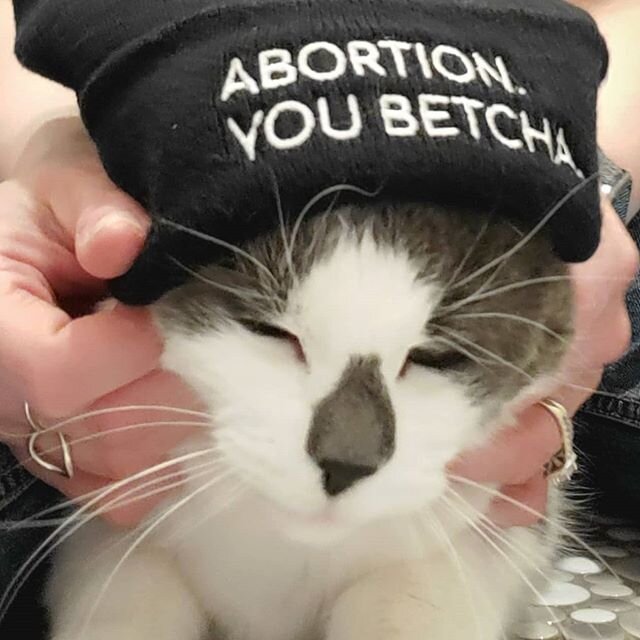 Hey all you cool cats and kittens! Our one-size-fits-most beanies are available for $20! Reach out if you would like one! We can get you contact free delivery in the F-M area this week!